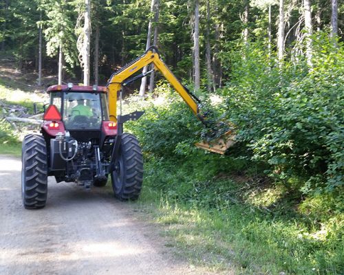 Brush-Cutter