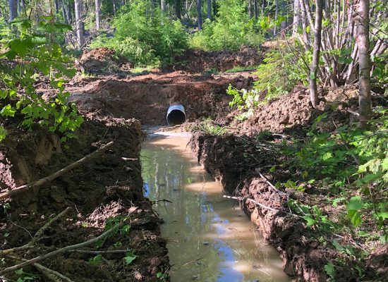 RankinCulvert